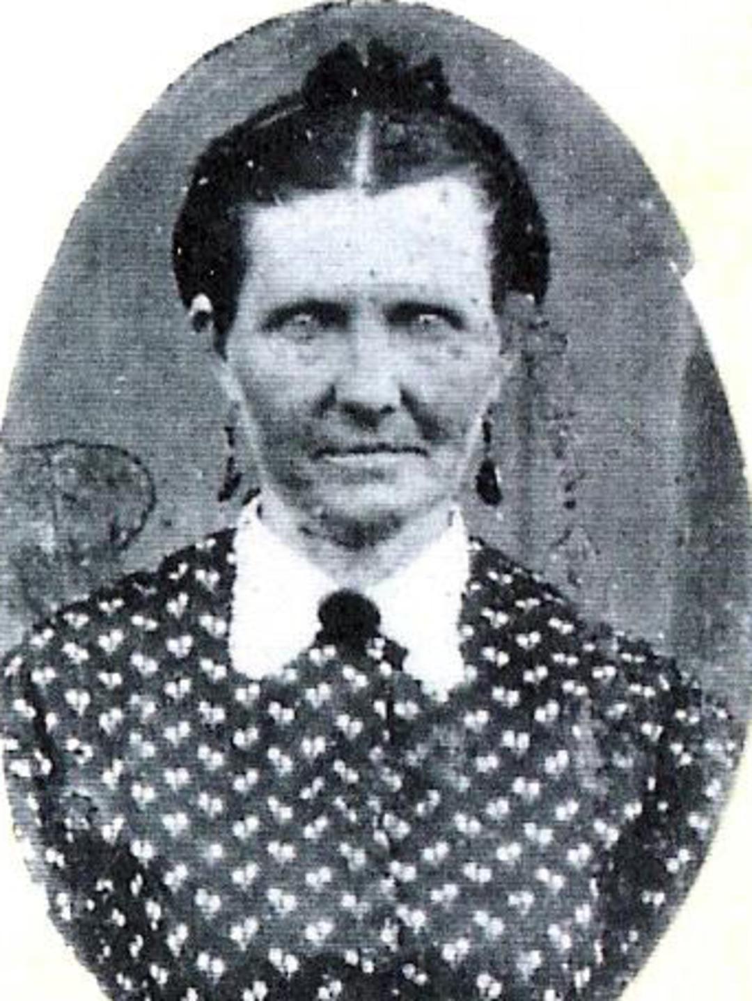 Nancy Ann Hill (1828 - 1882) Profile